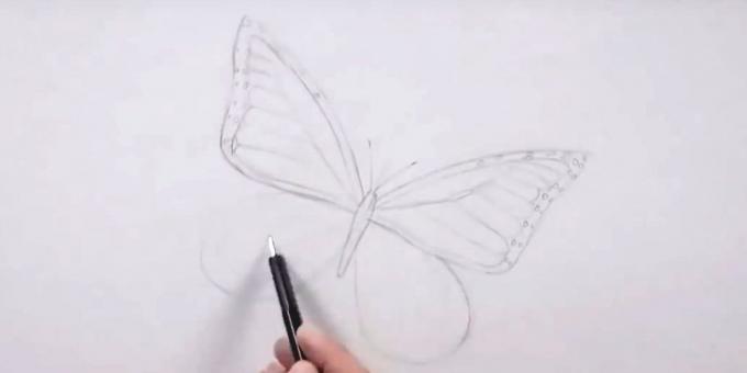 Narišite kroge okoli robov z desnega krila in oznake levega krila vzorec