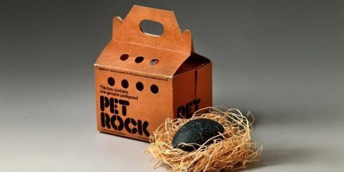 Poslovne ideje: Pet Rocks