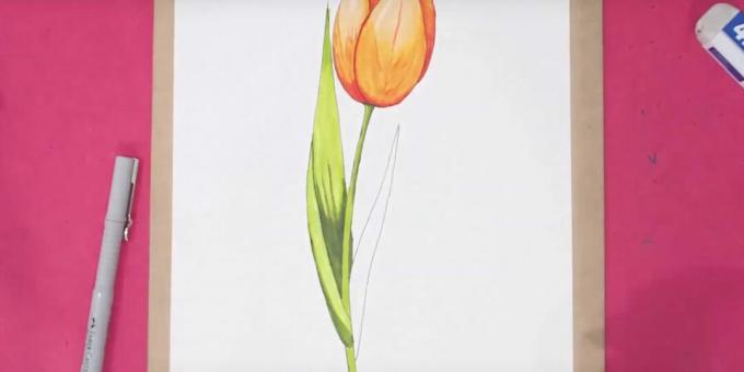 Kako pripraviti tulipan: končajte levi list