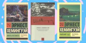 Vodnik knjige Ernesta Hemingwaya: to posebno o njih in zakaj bi morali brati