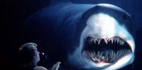 10 filmov o morskih psih, ki vas bodo razveselili ali prestrašili