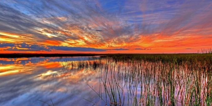 Everglades National Park, ZDA