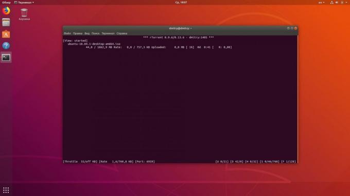 Linux terminal vam omogoča prenos torrents