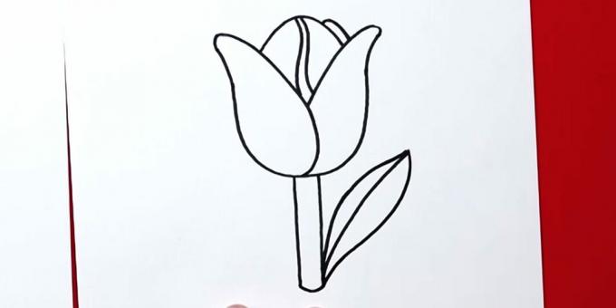 Kako pripraviti tulipan: končajte desni list