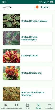 Identifikacijo vrst sobne rastline uporabljajo PlantSnap