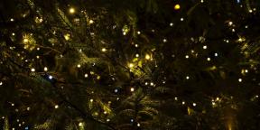 6 božična tradicija, ki so prišli k nam iz poganstva
