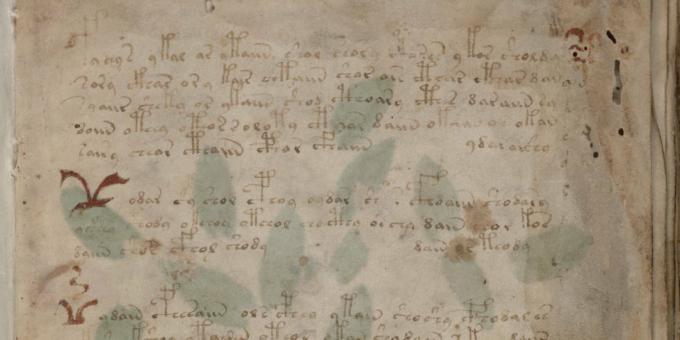 Skrivnosti zgodovine: rokopis Voynich