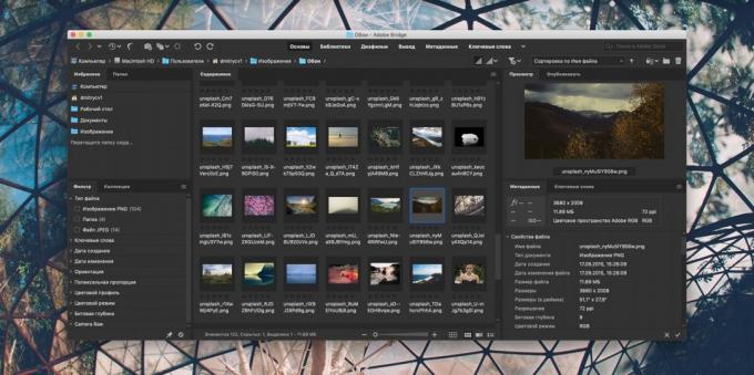 Kako organizirati zbirko fotografij: Adobe Bridge