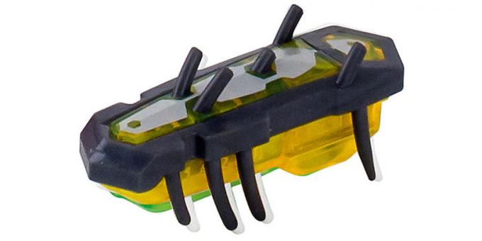 Beetle od Hexbug