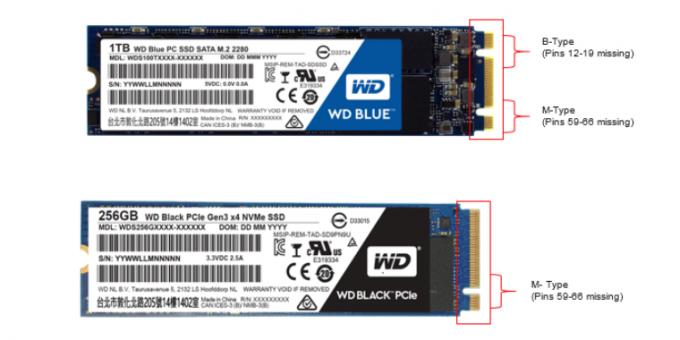 Kaj je bolje SSD: SSD M.2 c ključ B + M (zgornji) in SSD M.2 s tipko M (spodaj)