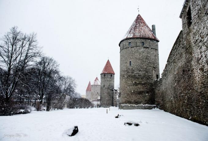 Tallinn stena