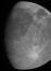 Sonda Juno je prejela prvo fotografijo Ganimeda