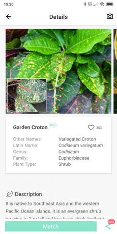 Identifikacijo vrst sobne rastline uporabljajo PictureThis