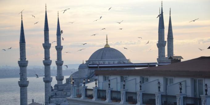 kam na počitnice maja v Istanbulu
