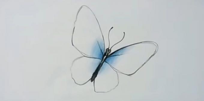 linija debelejša Znamka in nekaj barve krila v modrem
