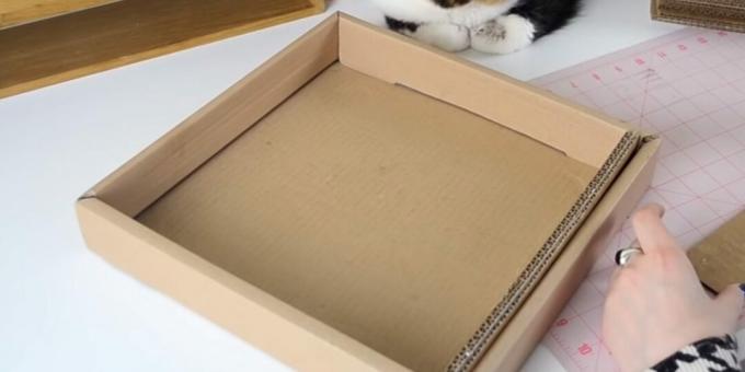 Praska za mačke DIY: v škatlo vstavite lepljene trakove