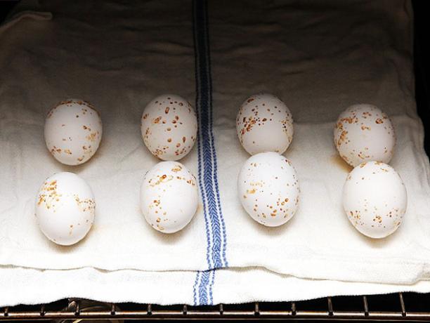 Kako kuhamo jajca v pečici