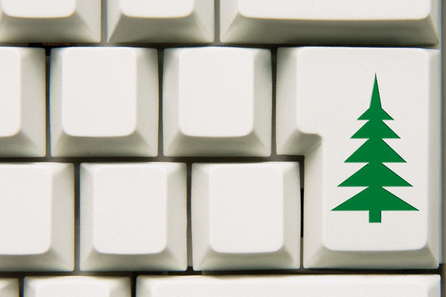 živo božično drevo - da spletna trgovina