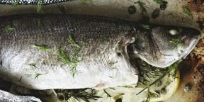 7 zanimive jedi iz rib iz Gordon Ramsay