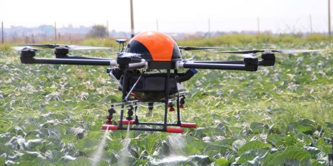 Drone pomaga rast rastlin