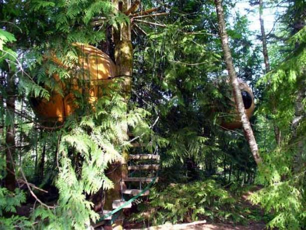 Treehouse, ki jih lahko rezervirate