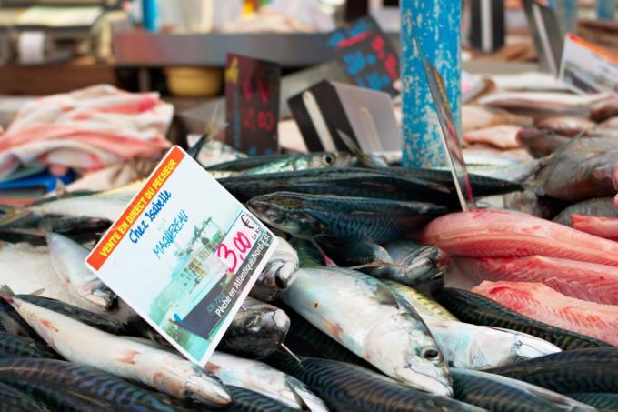 Prednosti rib večja od škode, živega srebra, ki jih vsebuje