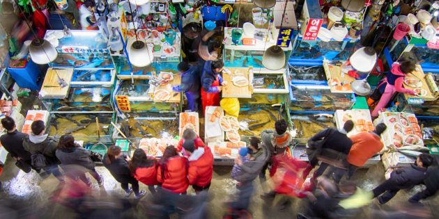 Znamenitosti Južna Koreja: je potrebno obiskati ribarnica