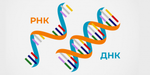 Kje in kako dobiti test za koronavirus