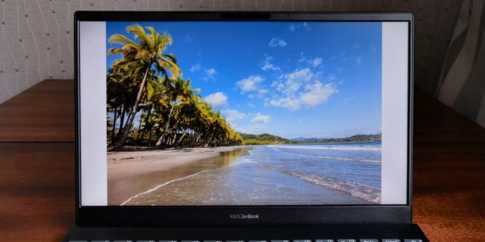 Zaslon ASUS ZenBook 13 UX325