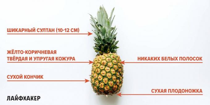 Kako izbrati ananas: znaki zrelega ananasa