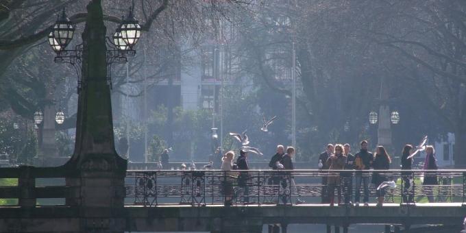 Top mesta v smislu življenjskega Dusseldorf